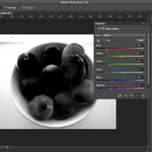 Adobe: Tutorial Player for Photoshop Best Instructional Experience